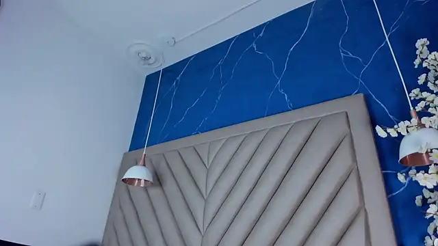 Ibbie_drastic webcam