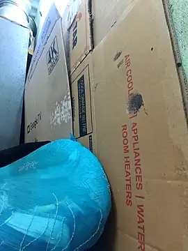 Tamilselviroja- webcam