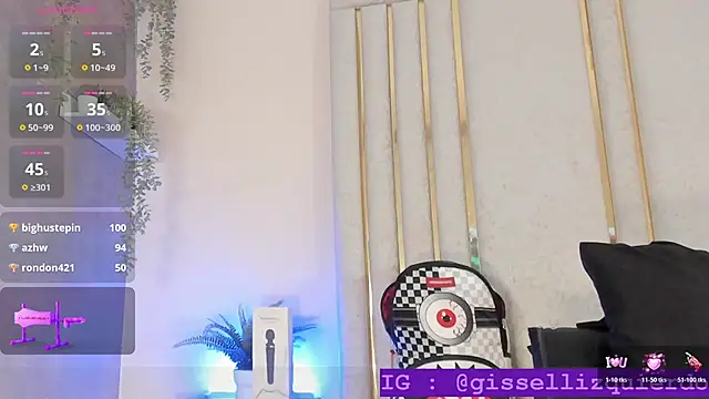 Liincostelloo webcam