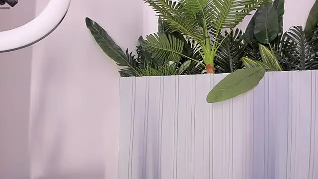 stephanymonroe webcam