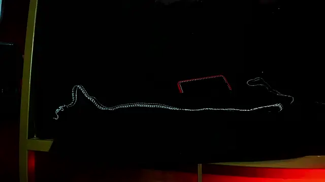 CharlotteScotte webcam