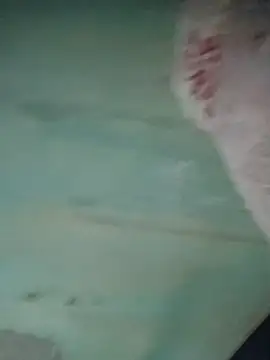 Paunoseucuzao webcam