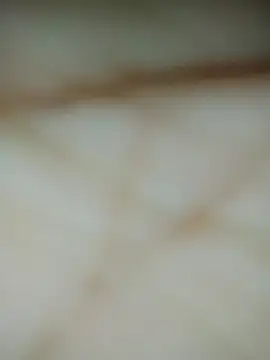 Meyyy09 webcam stripchat model stream image