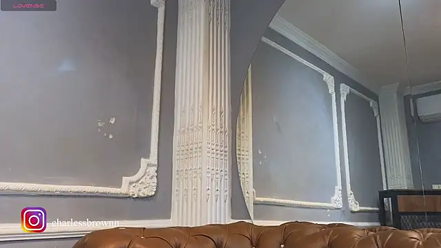 CharlesBrown_ webcam