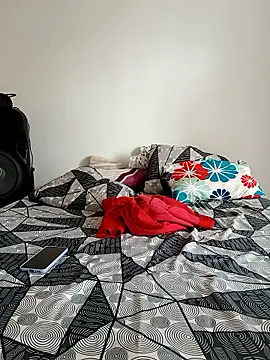 LEIRIS_Y_FRED_01 webcam