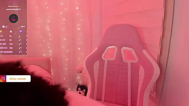 Alice_winter_ webcam