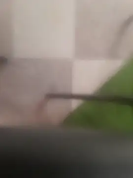 Lizbeth_Rouse webcam