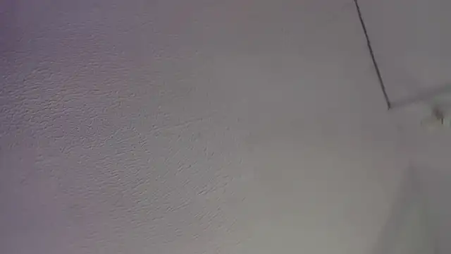 twerkgirl-coral webcam