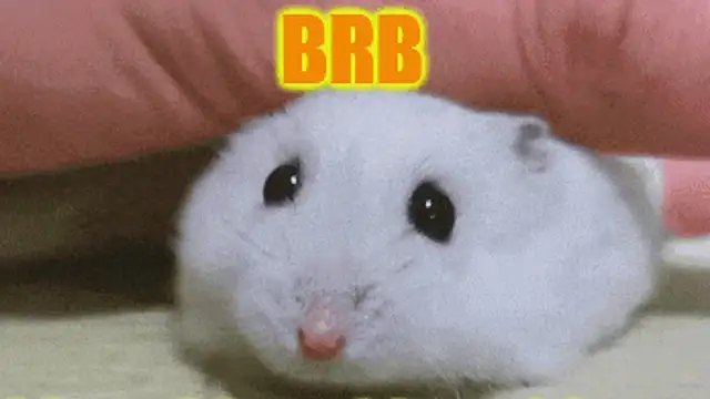 lolly_fly - Lolly_Fly's free webcam