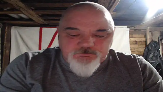 Newfiesausage1972 webcam