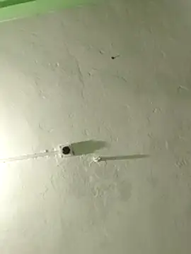 radhaho - RADHAHO's free webcam