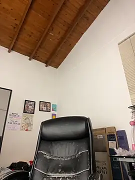 Paulina-Wells webcam