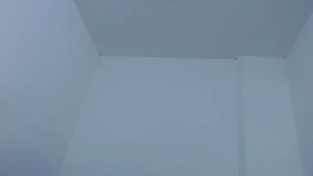 carolina_zabala_19 webcam