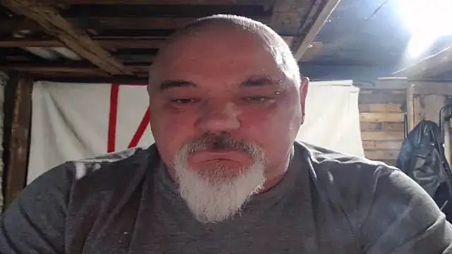 Newfiesausage1972 webcam