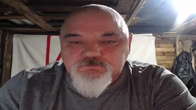 Newfiesausage1972 webcam