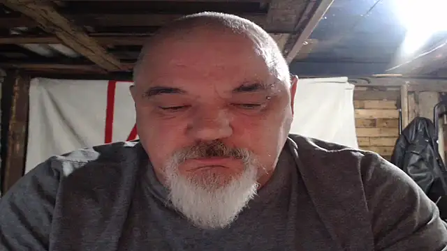 Newfiesausage1972 webcam