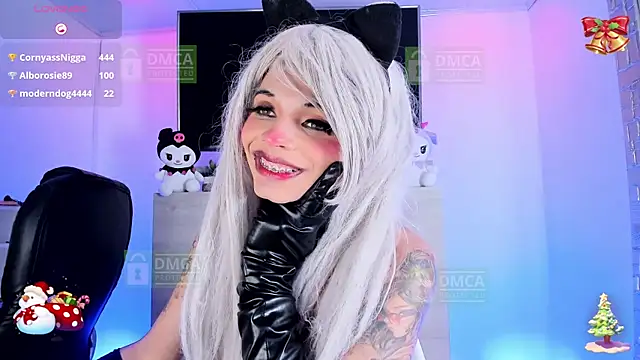 Palmer-Foster webcam