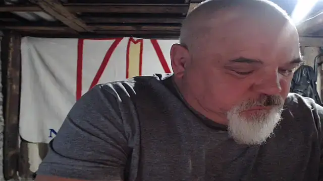 Newfiesausage1972 webcam