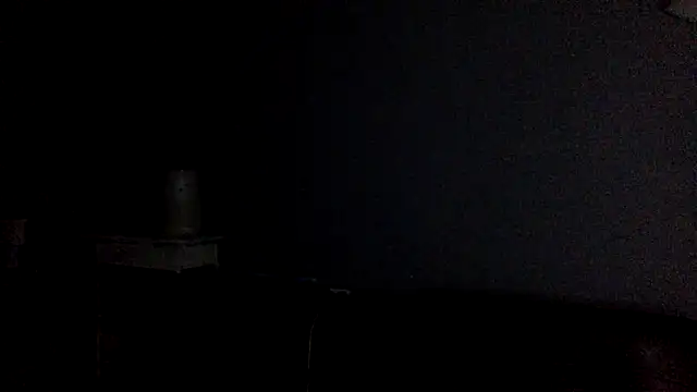 shomeagudtyme webcam