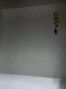 Paulina-Wells webcam