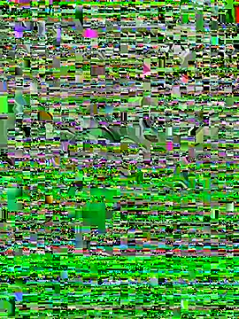 min-sexy01 - Min-sexy01's free webcam