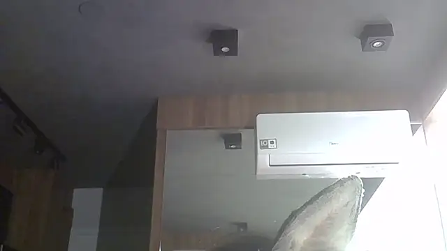 SkinnyKitten webcam