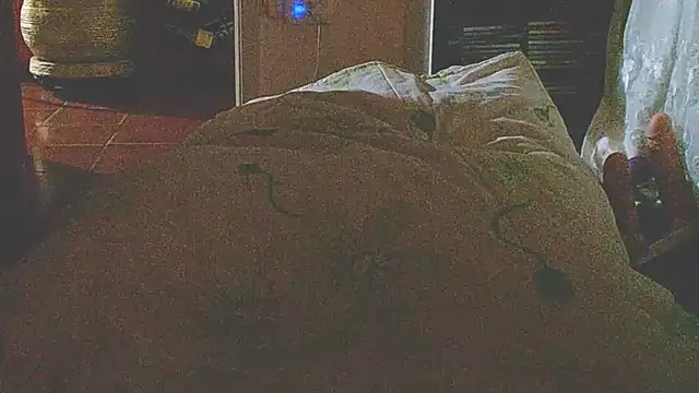 liandragostosa webcam