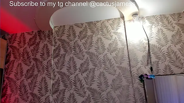 Cactus__James webcam