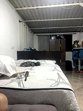 vera2002 Live Webcam on Stripchat