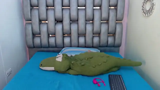 Madison_Copers webcam