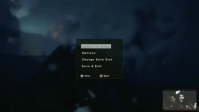 Rocker_Assassin_WASP_FAN webcam