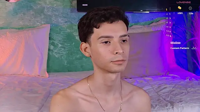 VicenteFerrer webcam