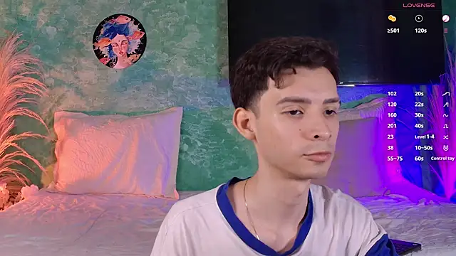 VicenteFerrer webcam