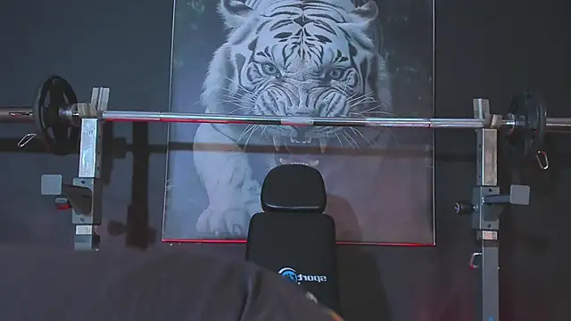 DimitriDeluxe webcam