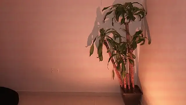 alejandrajade - Alejandrajade's free webcam