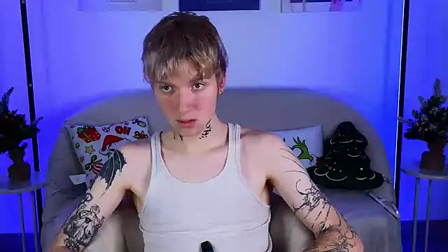 TRAVIS_CLAS webcam