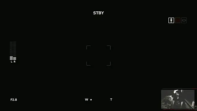 Rocker_Assassin_WASP_FAN webcam