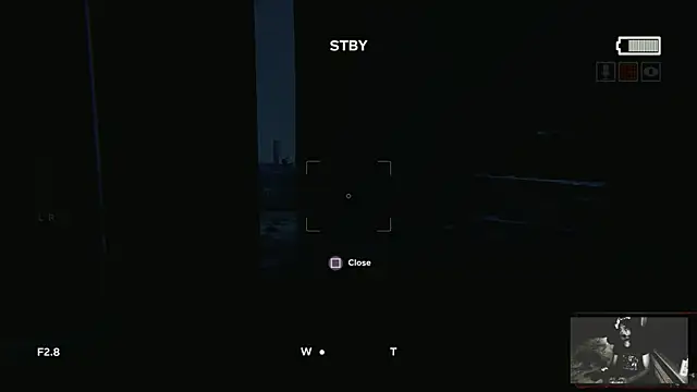 Rocker_Assassin_WASP_FAN webcam