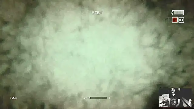 Rocker_Assassin_WASP_FAN webcam