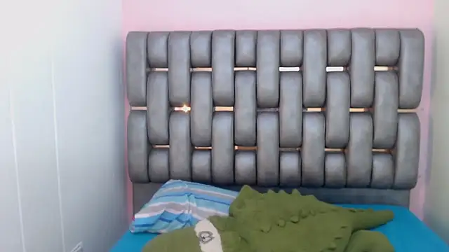 Madison_Copers webcam