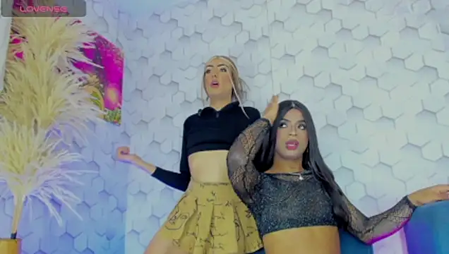 ANGELS_TRANS_23Cm_ts webcam