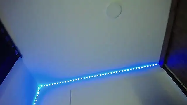 Denzo_cornell1 webcam