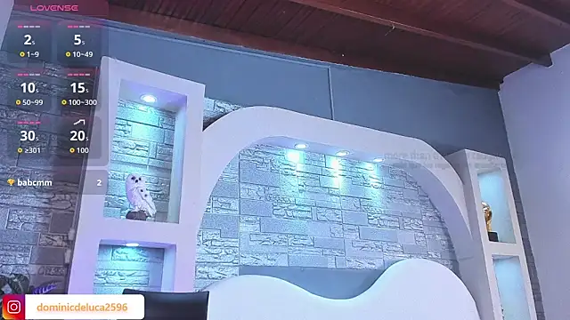 dominic_de_luca webcam