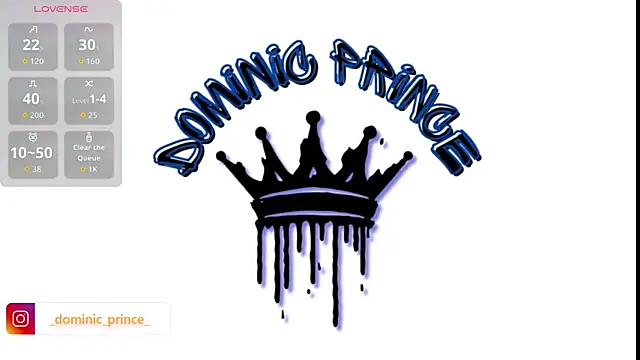 DominicPrince webcam