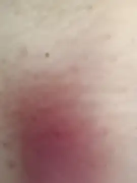 SharonSalazar webcam