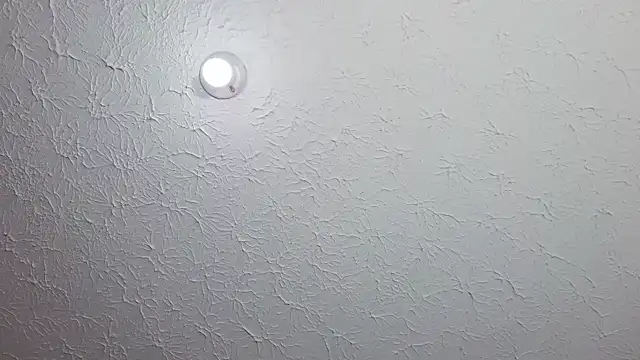 felipecams123 webcam