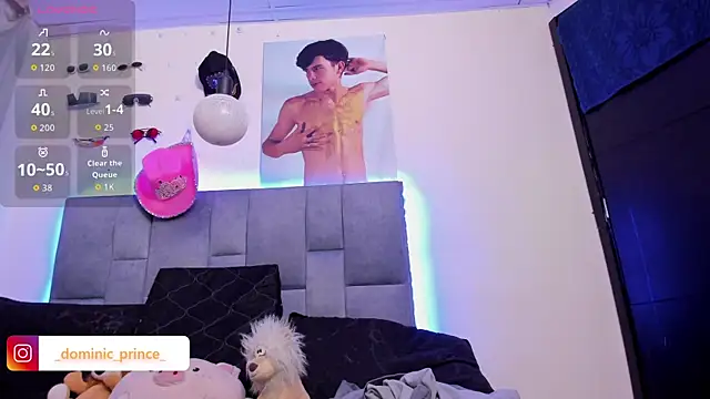 DominicPrince webcam