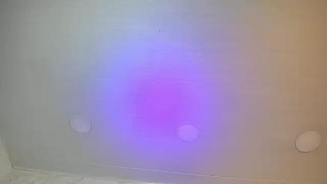 Sophie_teller webcam