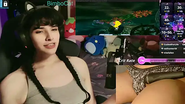 BimboCat webcam
