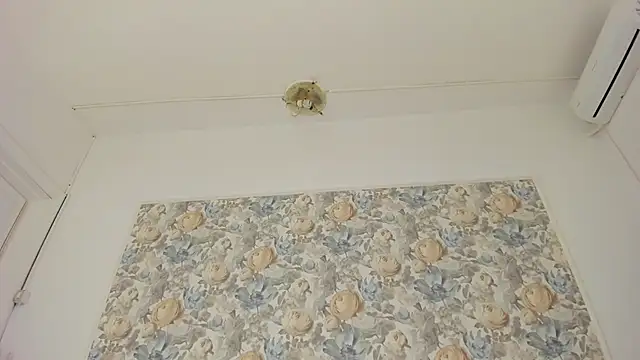 illegal_lorry webcam